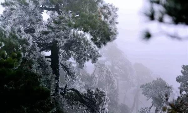 绝地求生坦克版2